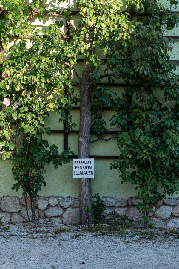 Aberseeblick Pension Ellmauer Saint Wolfgang Εξωτερικό φωτογραφία